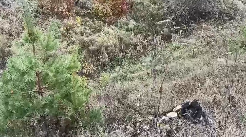 Место из местного предания